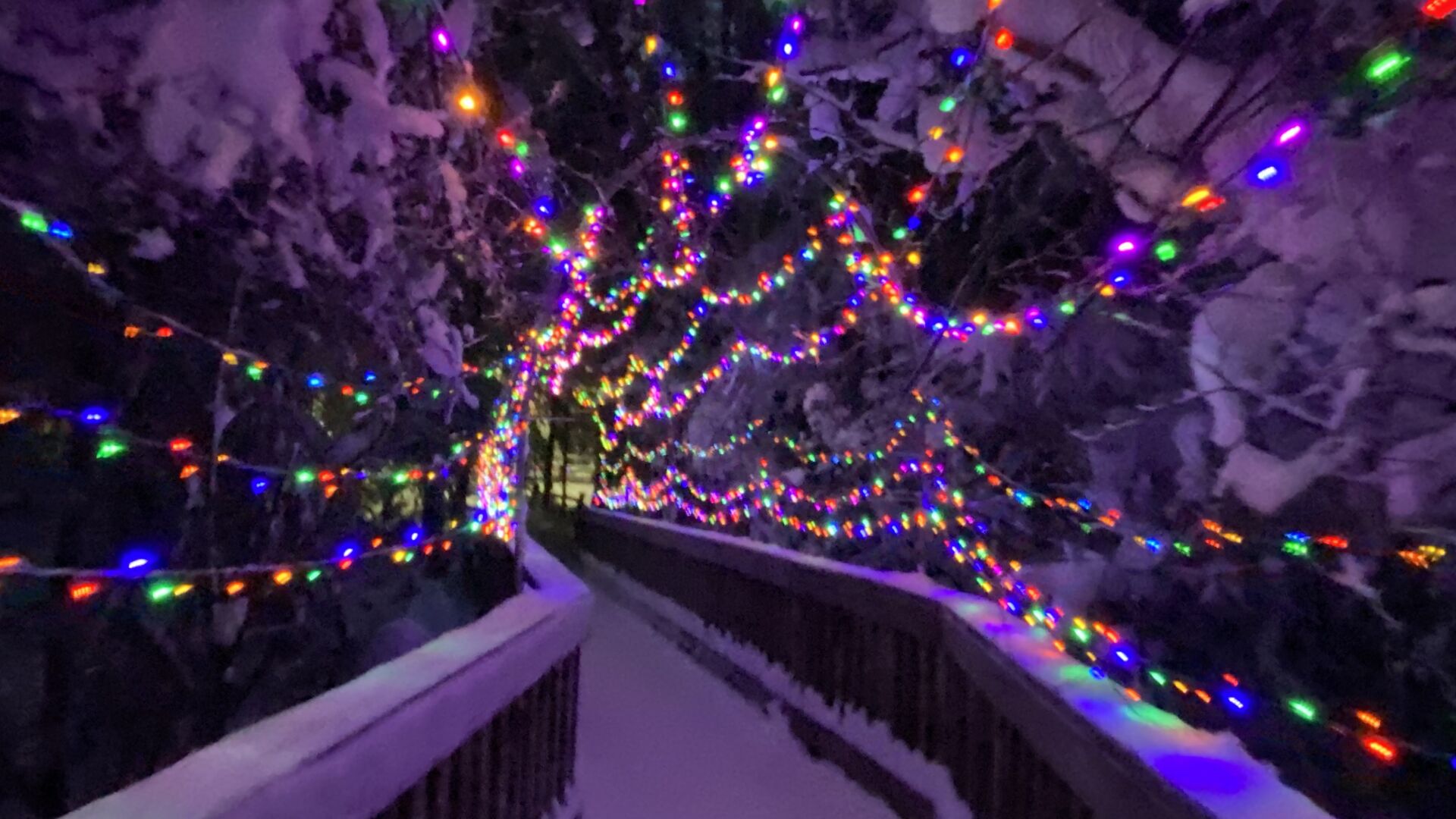 tunnel_view_lights_night.jpg
